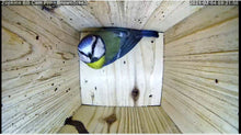 Load image into Gallery viewer, Universal Wi-Fi Bird Box Camera Kit PRO - BBCAM221PRO
