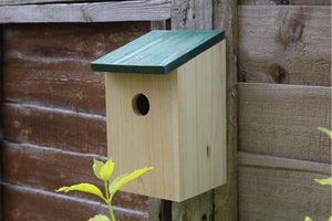 Bird Nesting Box With Built In Wi-Fi Camera